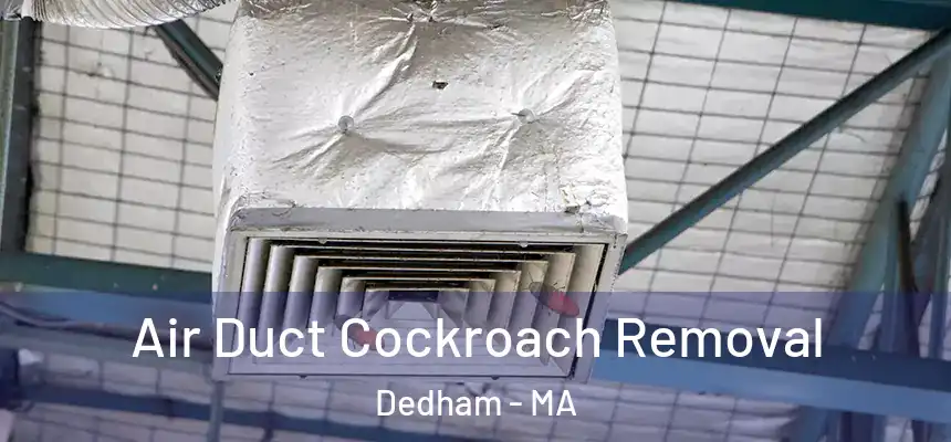 Air Duct Cockroach Removal Dedham - MA