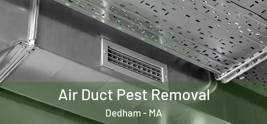  Air Duct Pest Removal Dedham - MA