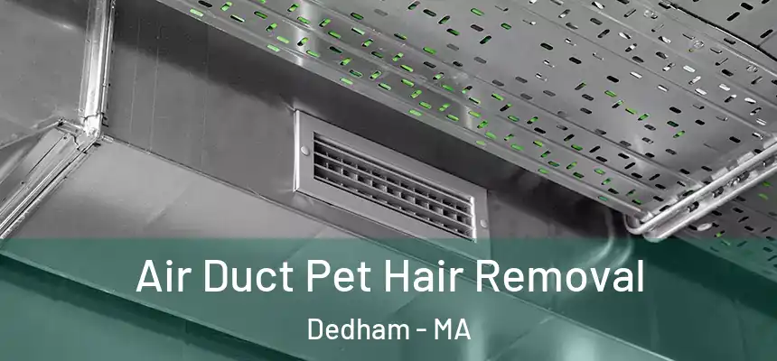 Air Duct Pet Hair Removal Dedham - MA