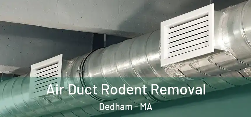  Air Duct Rodent Removal Dedham - MA