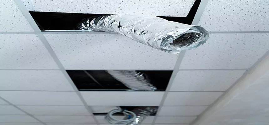 Affordable HVAC Sanitizing After Pest Removal in Dedham