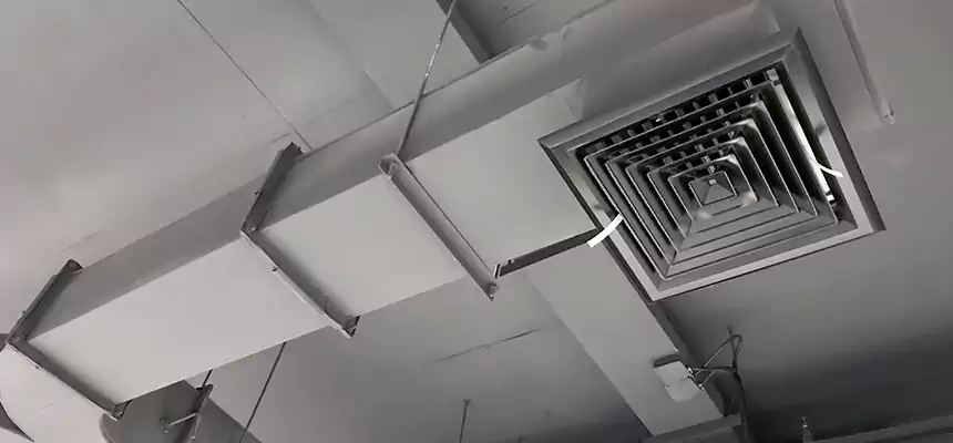 Restorative Allergy Relief Vent Cleaning – Coil, Blower & Housing Detail in Dedham