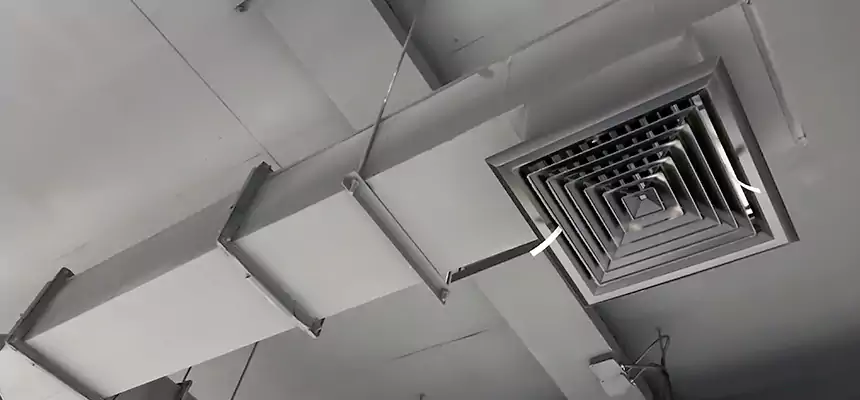 Our Rodent Droppings In Vents Services in Dedham, MA