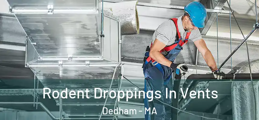 Rodent Droppings In Vents Dedham - MA