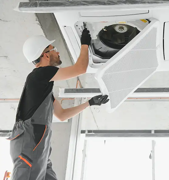 About Air Duct Rodent Removal in Dedham, MA