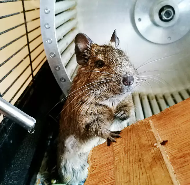 Why Homeowners & Businesses Trust Us Dedham, MA?