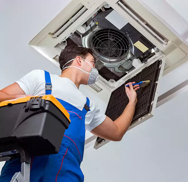 Why Homeowners & Businesses Trust Us in Dedham, MA