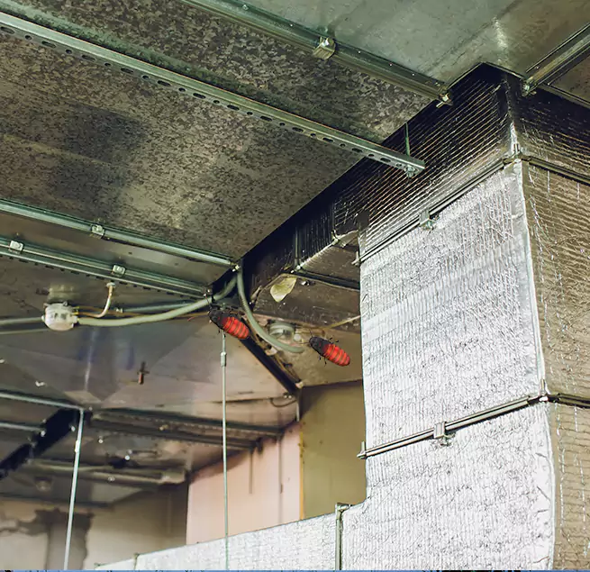 Why Homeowners & Businesses Trust Us Dedham, MA?