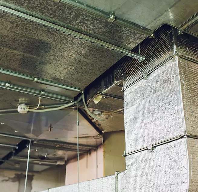 Why Homeowners & Businesses Trust Us in Dedham, MA?